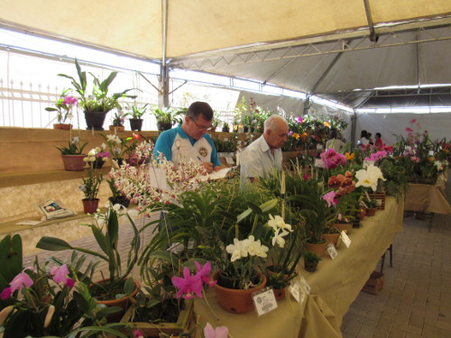expo orq